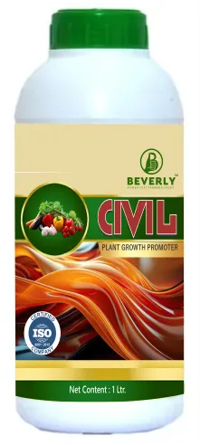 Civil