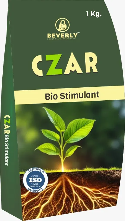 Czar