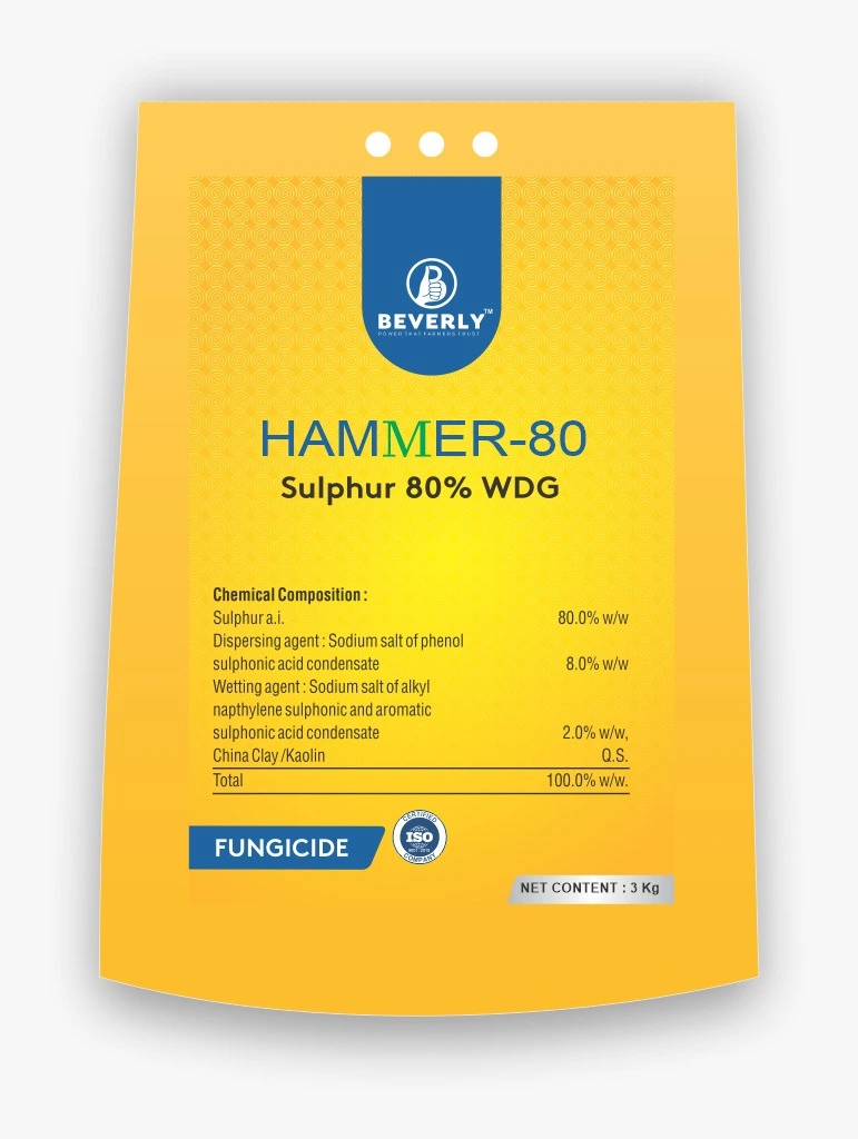 Hammer 80