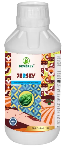 Jersey
