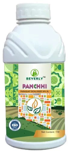 Panchi