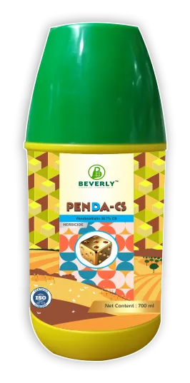 Penda CS