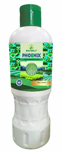 Phoenix