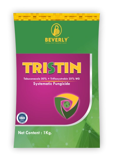 Tristin