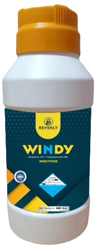 Windy